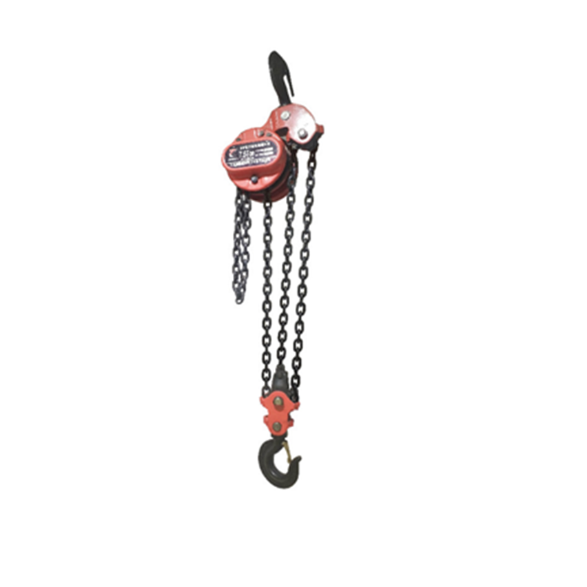 DHP electric hoist