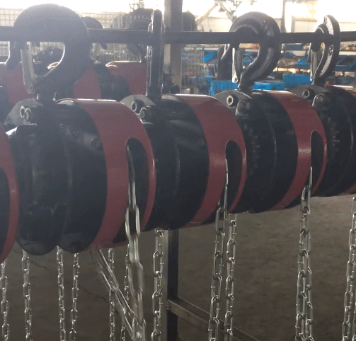 The special of group hoist electric hoist