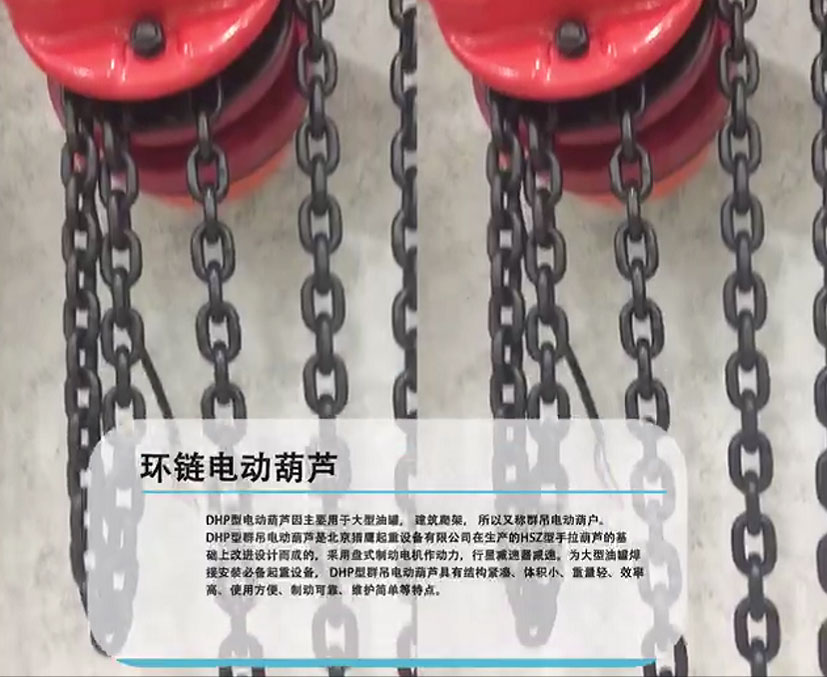  Do you understand the ＂maintenance＂ of the group hoist electric hoist